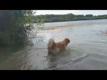 Dalli beim Baden